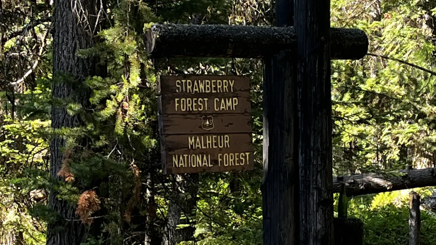 Strawberry Campground