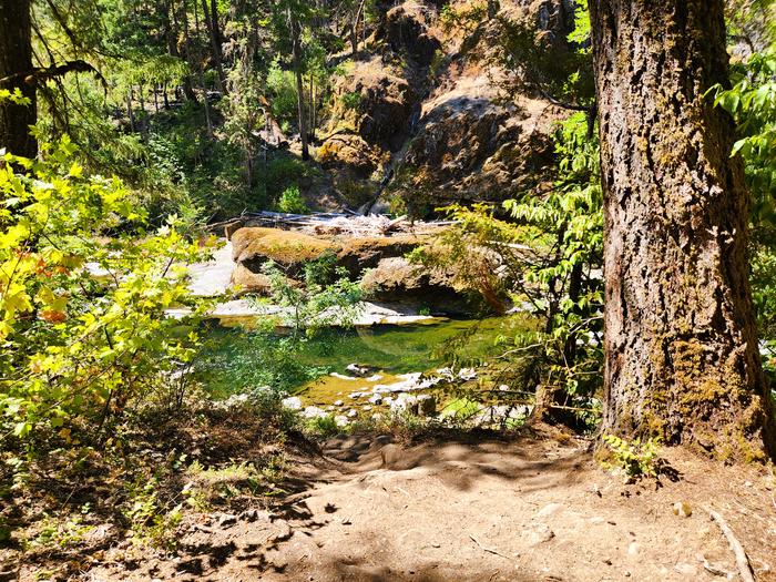 South Umpqua River at Ash Flat Campground