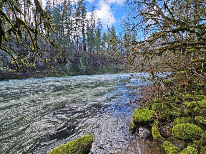 North Umpqua at Island Campground