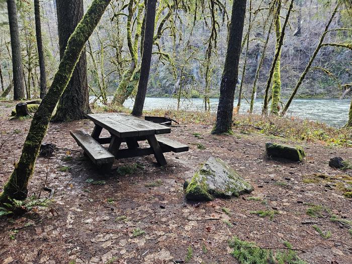 Campsite at Island Campground