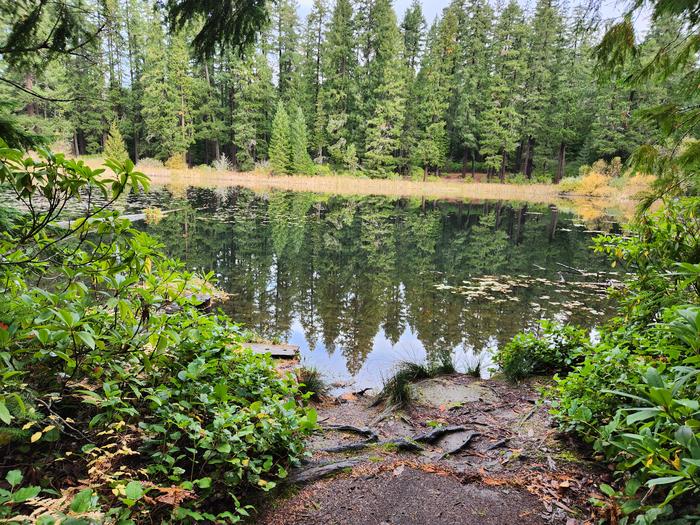 Lake in the Woods lake access