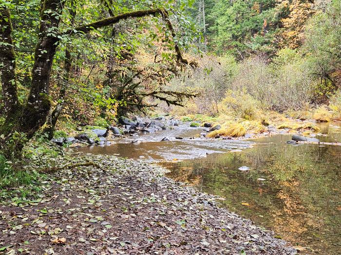 Little River at White Creek Campground