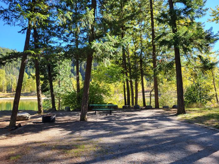 Alexander site 2 picnic table and fire ring