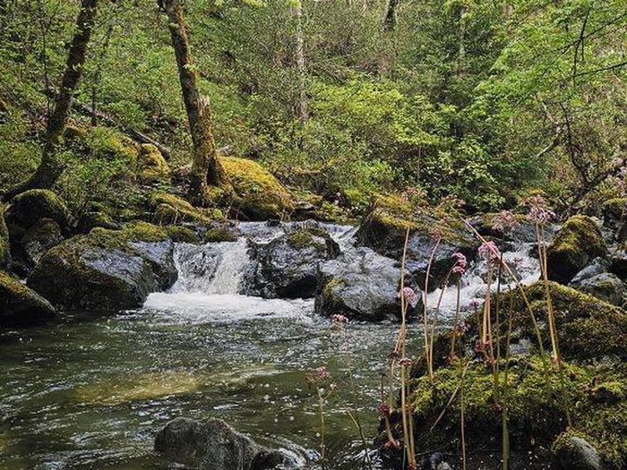 6 mile creek