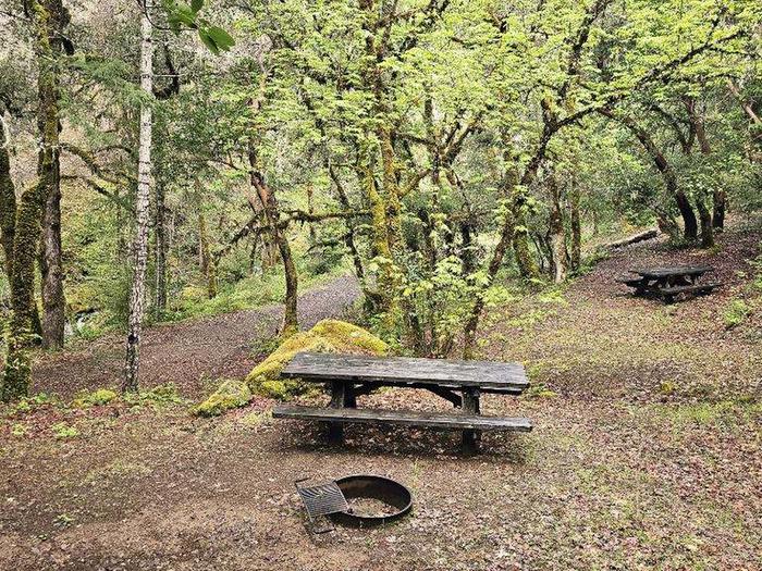 Campsite