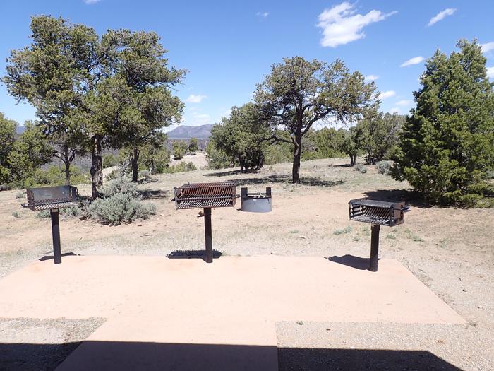 La Junta Group Shelter Grills and Fire Pit