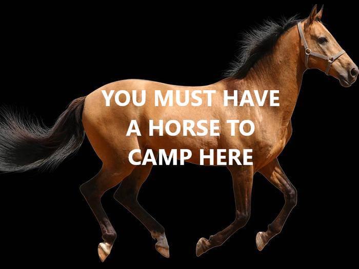 Must have a horse.