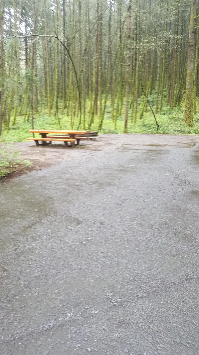 Wyeth campground Site #12
