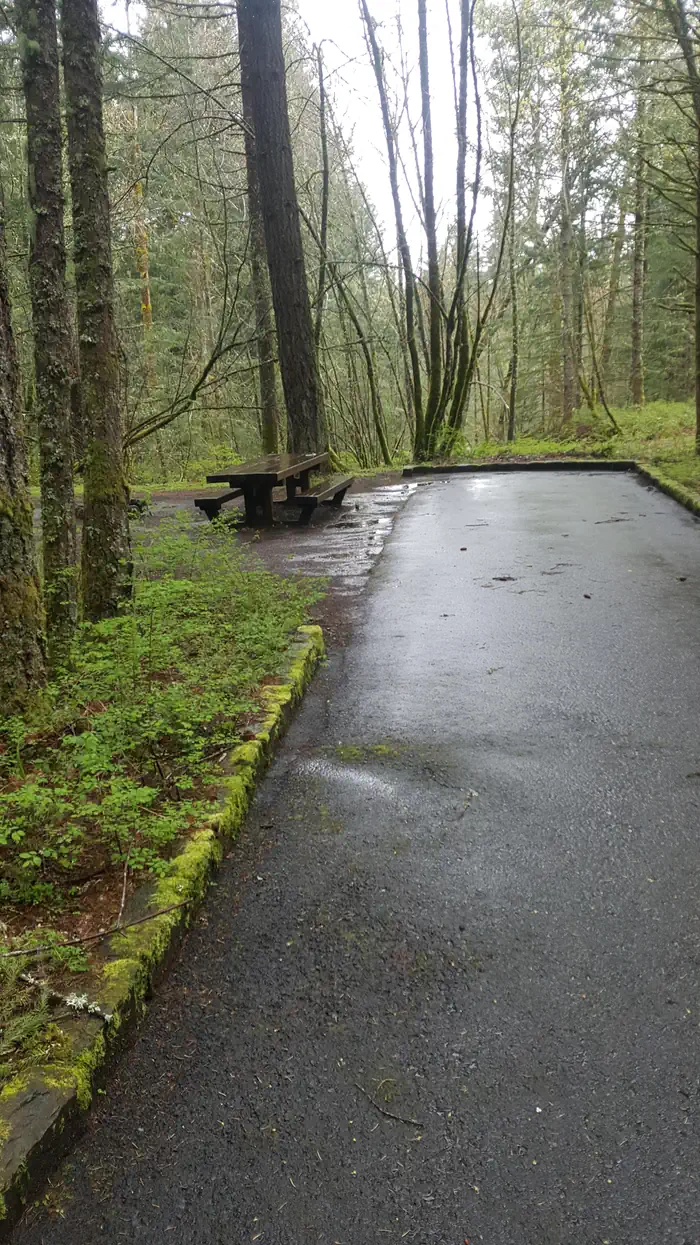 Wyeth campground Site #2