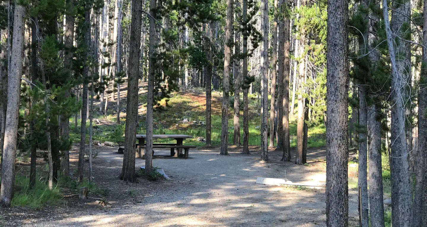 picnic table in campsite in wooded area