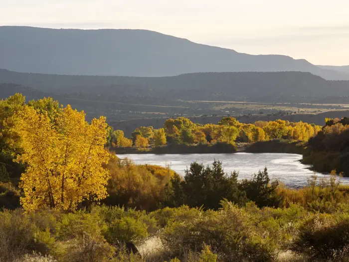 The Green River