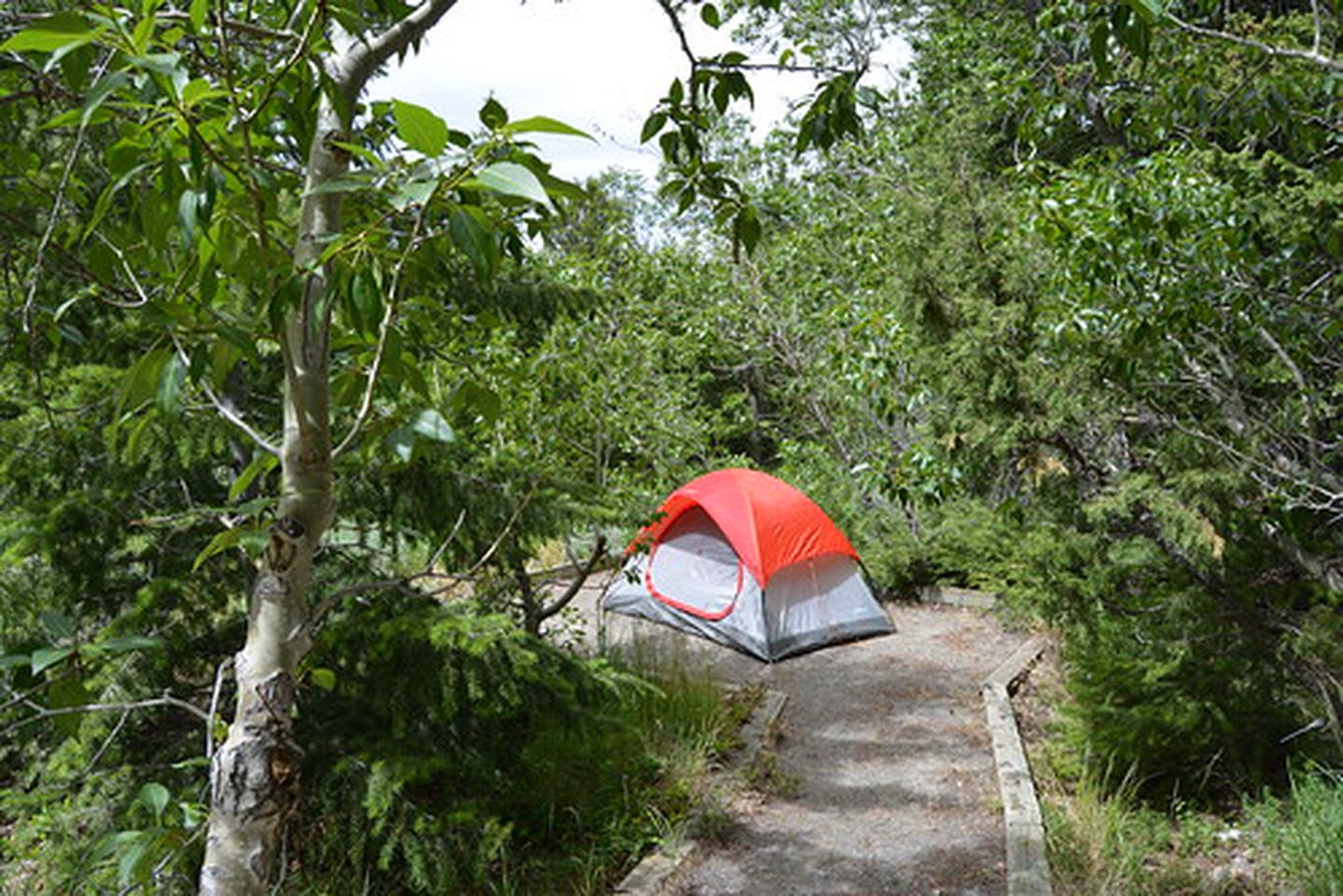 Five Springs Falls Campground