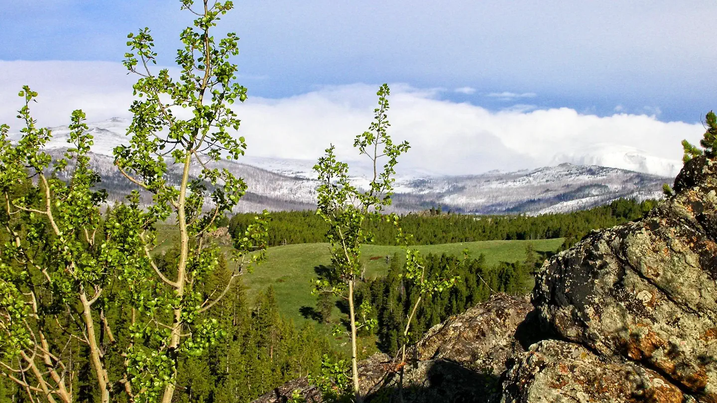 MIDDLE FORK