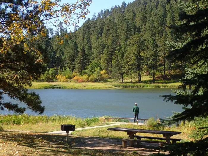 Cook Lake Fall