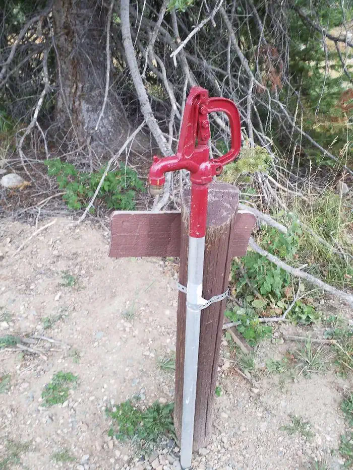 Ryan Park Hydrant