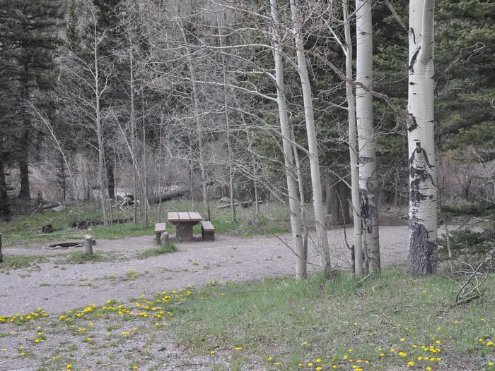 Lake Fork Campground Site 14