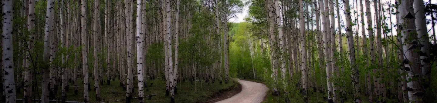 LONE ROCK CAMPGROUND (CO)
