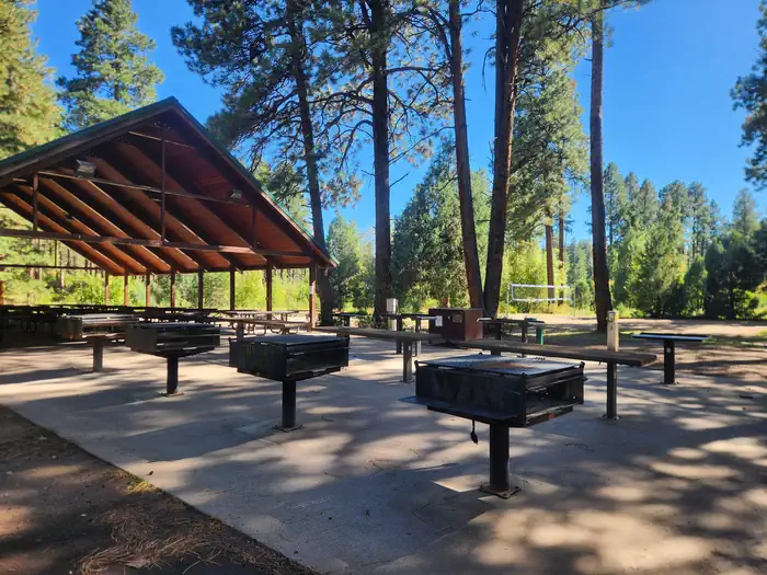 CHRIS PARK grill area