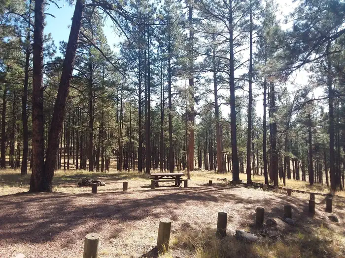Luna Lake Site 27