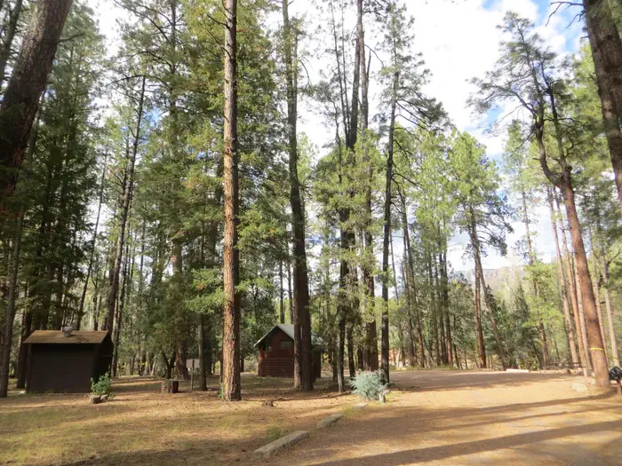 Christopher Creek Campground views of tall pines and restroom building.