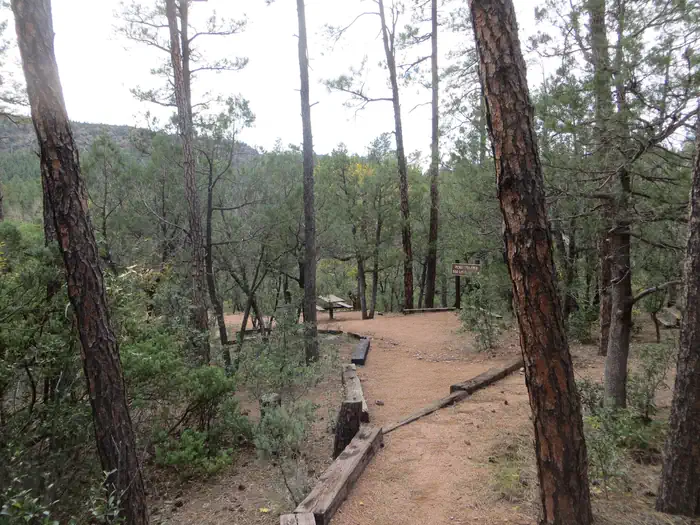 Christopher Creek Campground picnic area
