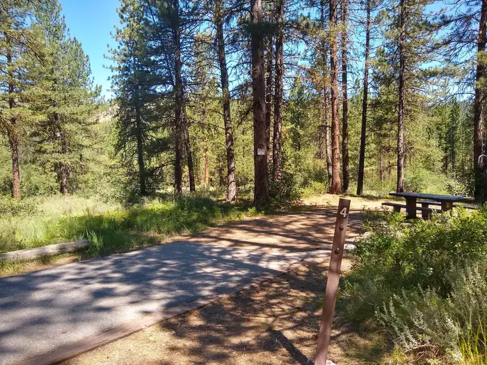 A paved driveway leading to a campsite.