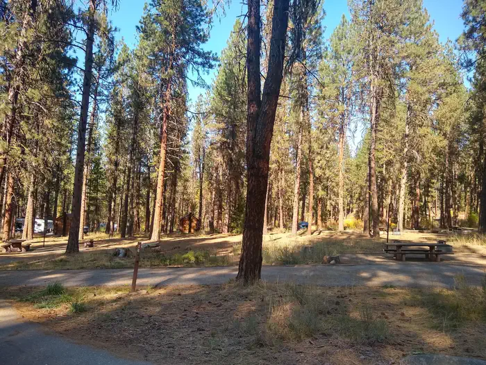 A sideways view of a single campsite with a paved driveway.