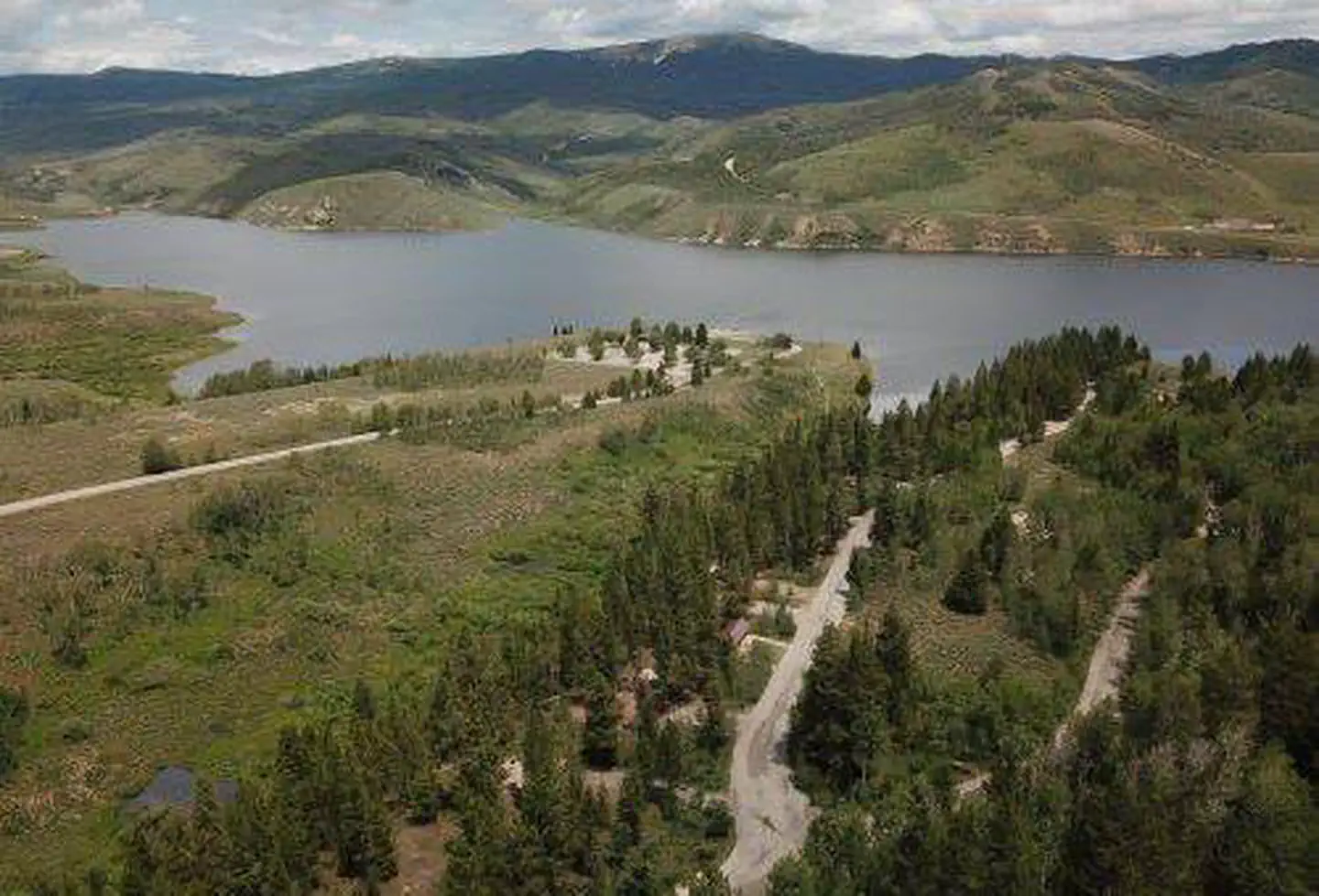 CURRANT CREEK
