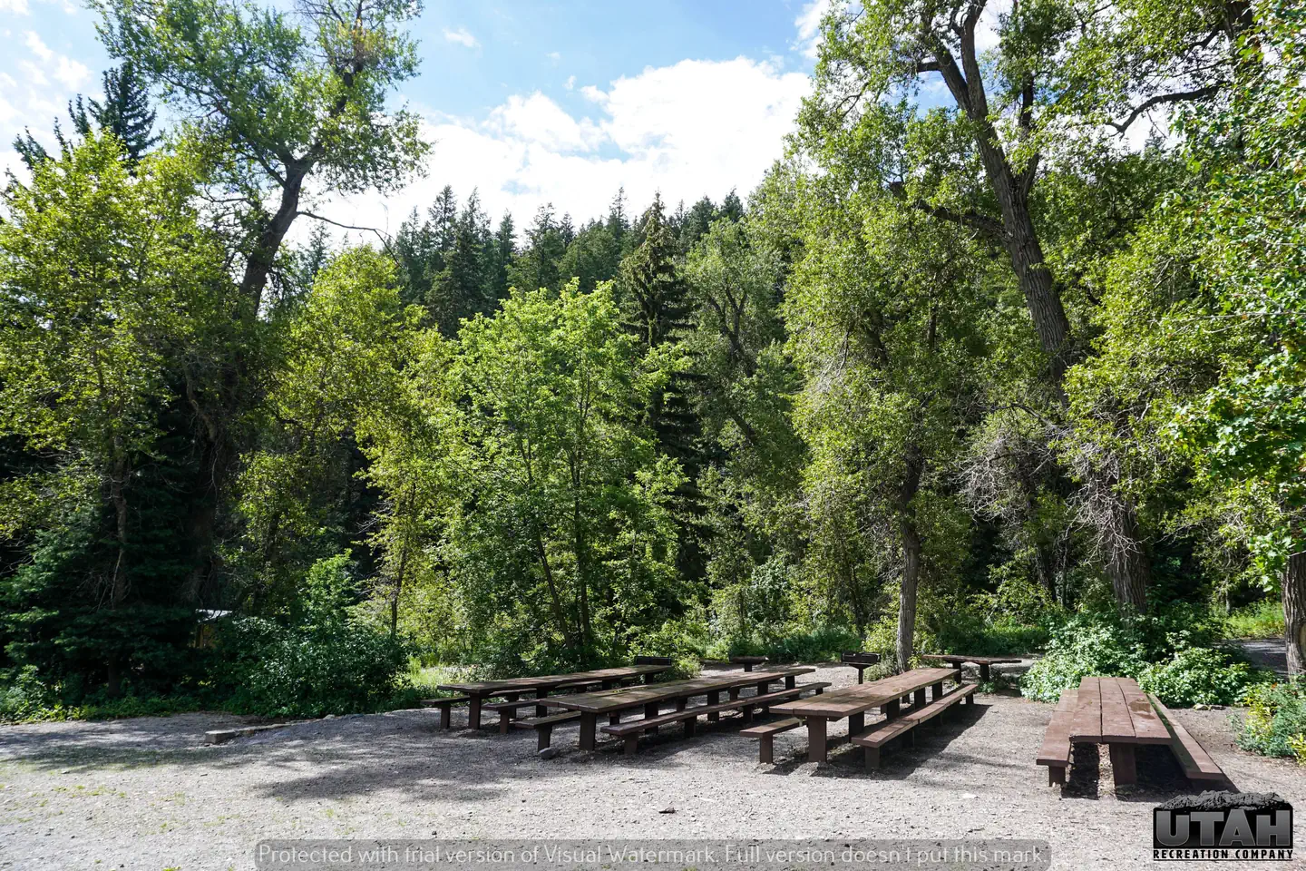 Theater In The Pines 3
