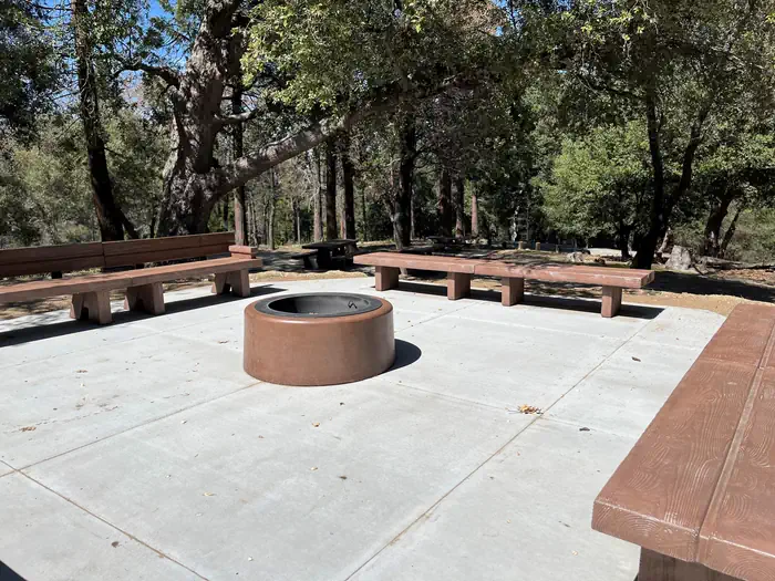 Group fire ring with benches around.