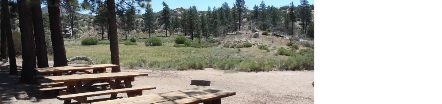 IRONWOOD GROUP CAMP
