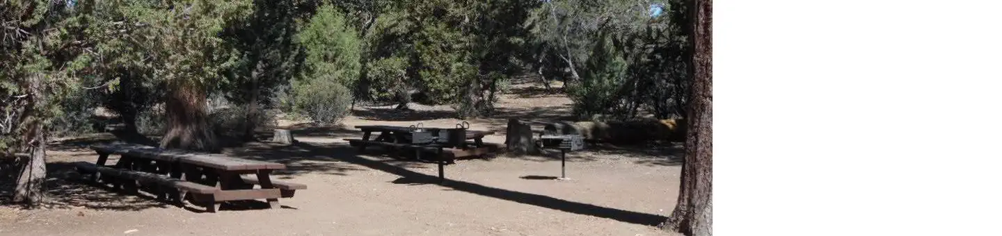 TANGLEWOOD GROUP CAMP