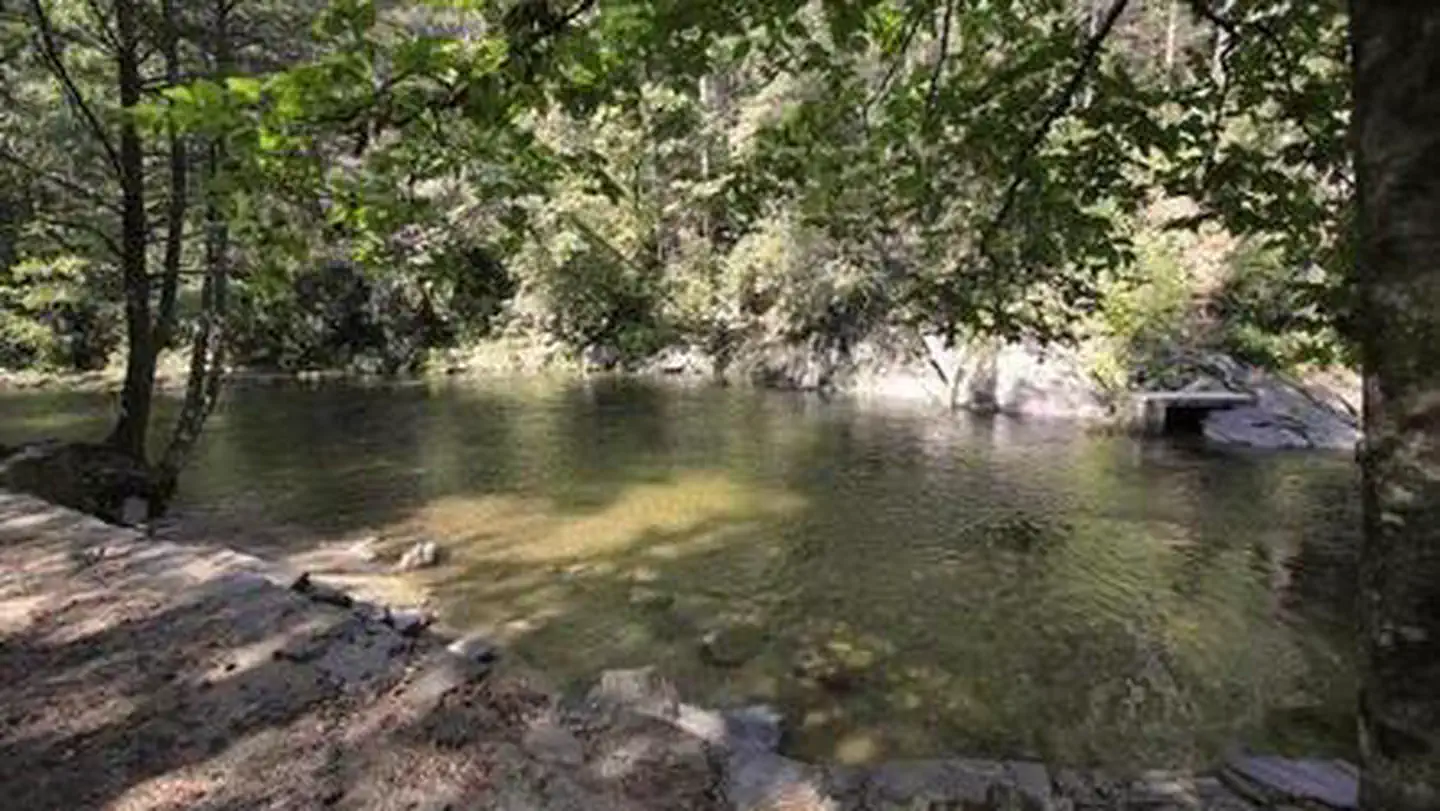 DAVIDSON RIVER