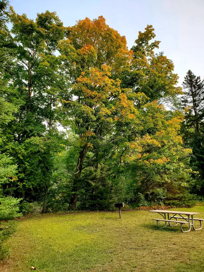 Flowing Well Campground - Recreation Area
