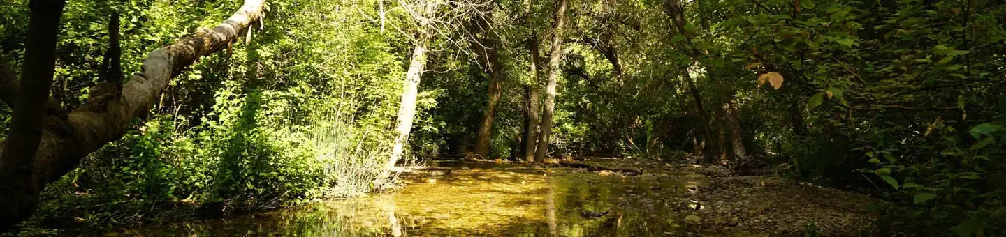 BOX ELDER CAMPGROUND