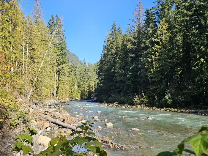 North Fork Nooksack River view