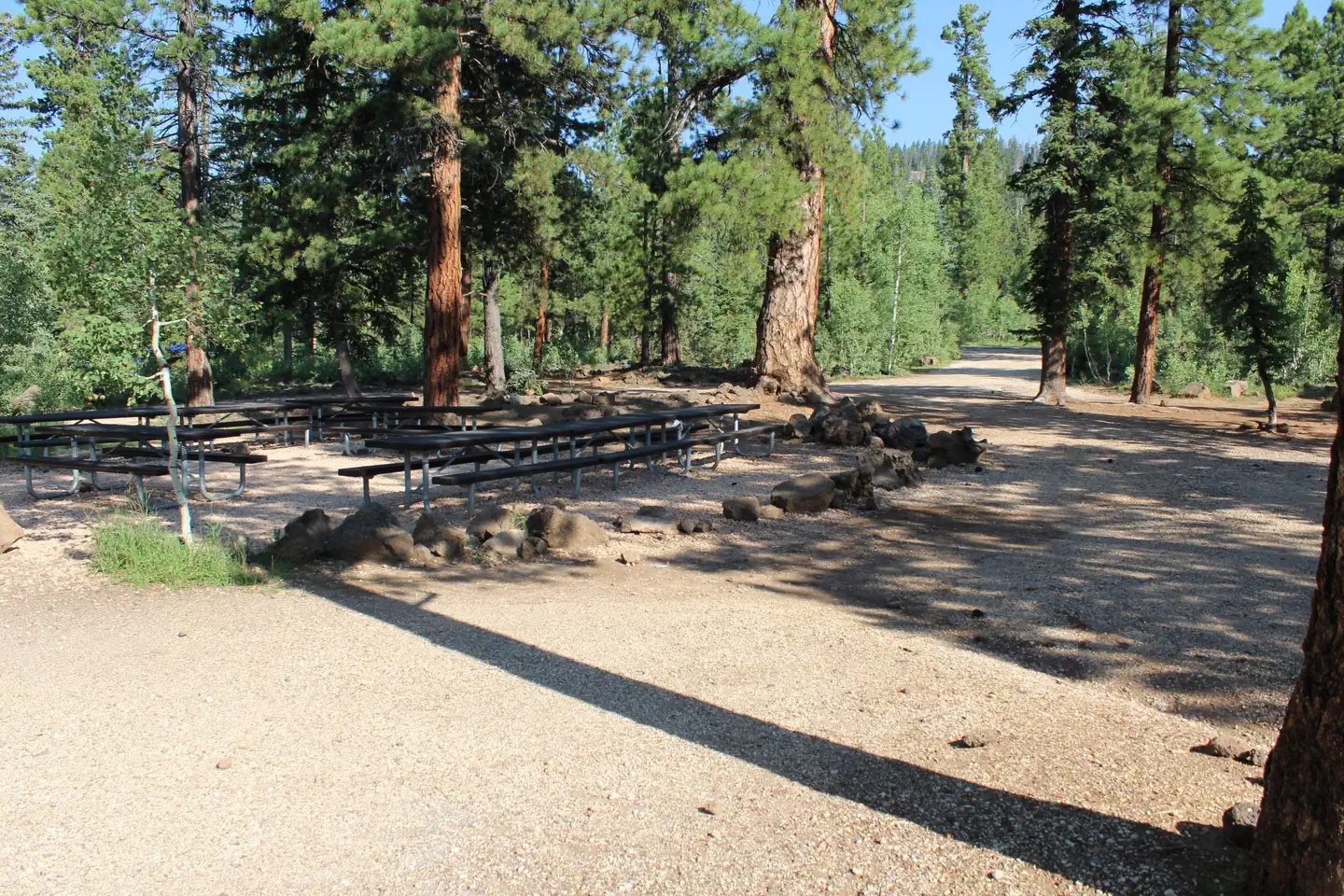 Wagon Train Group Site