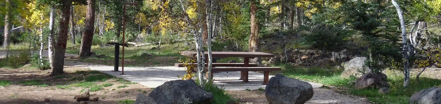 DUCK CREEK