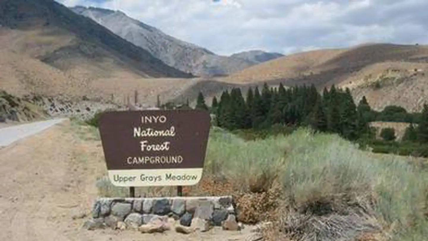 GRAYS MEADOWS