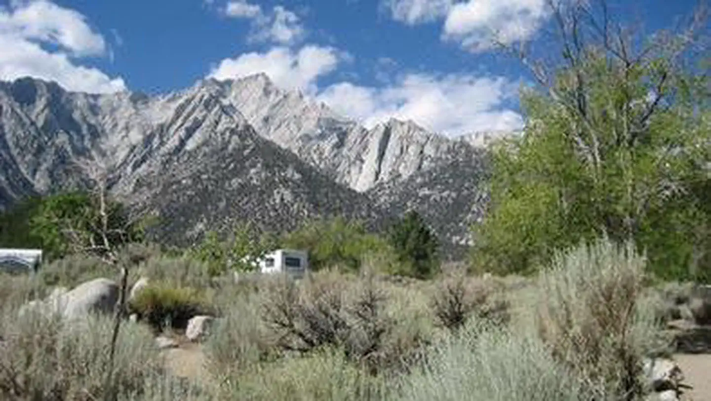 LONE PINE