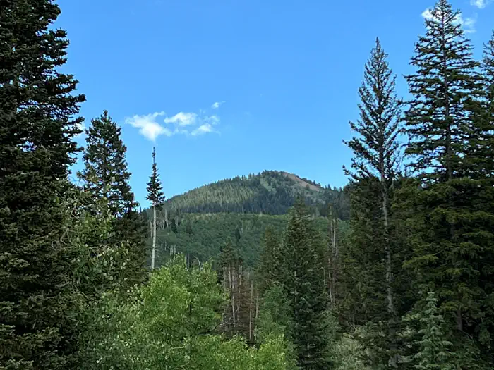 Redman Campground landscape