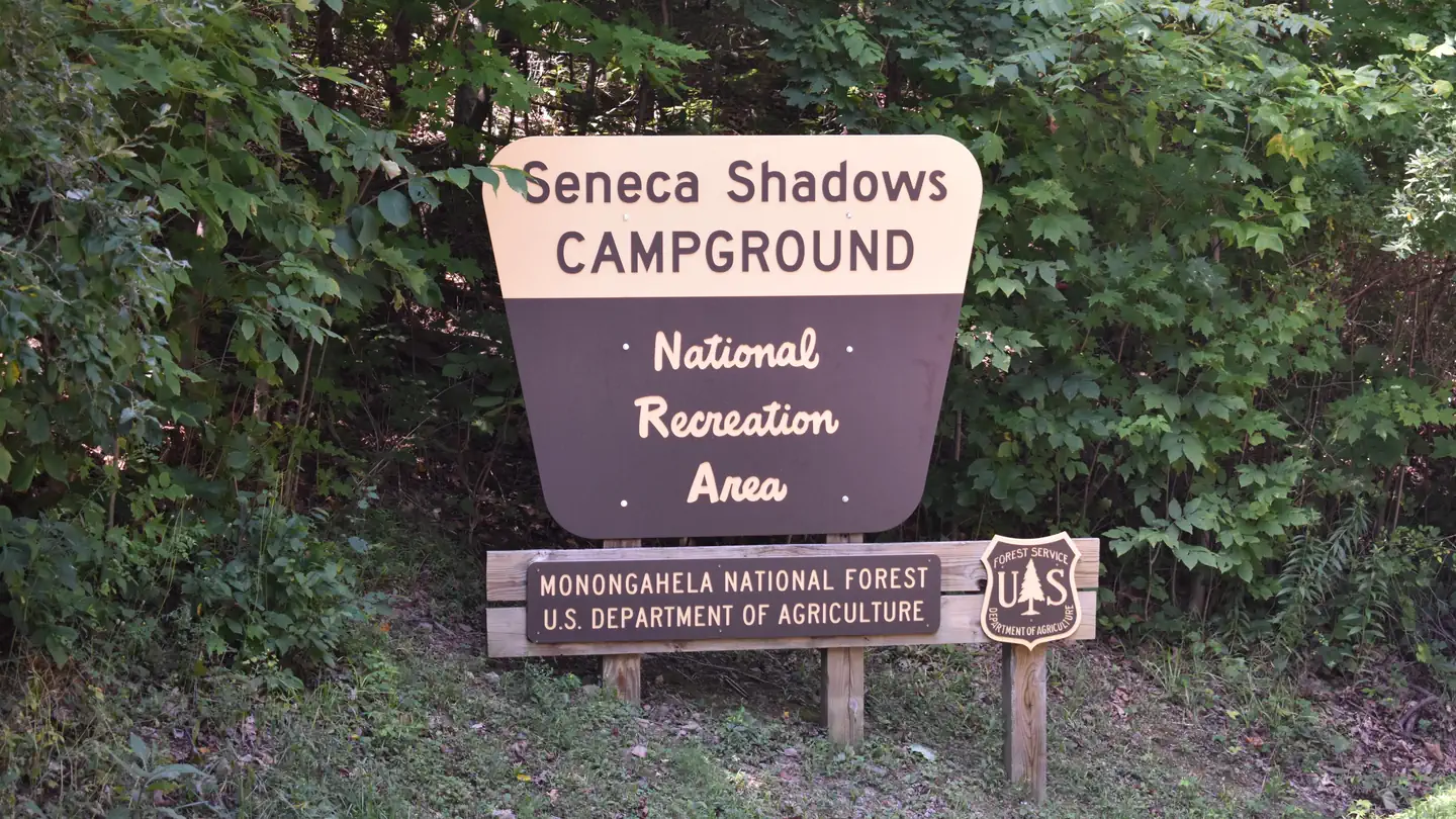 SENECA SHADOWS