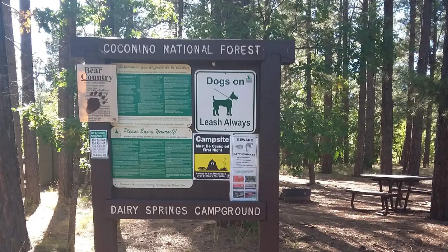 DAIRY SPRINGS