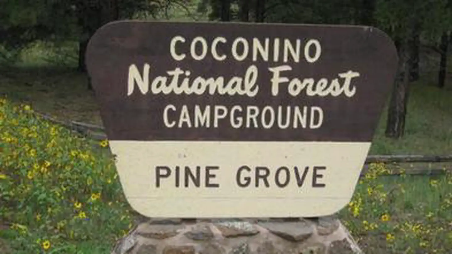 PINEGROVE
