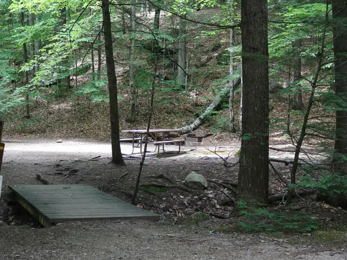 White Ledge Campsite