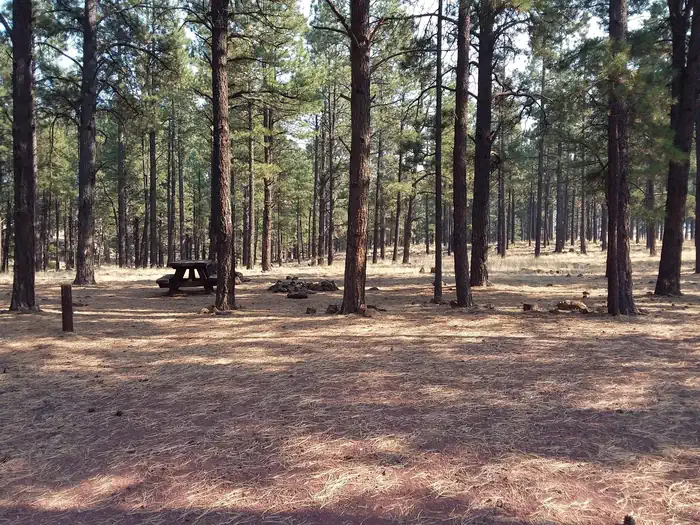 Benny Creek Group Site 007