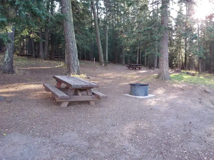 Brookchar Campground Campsite.