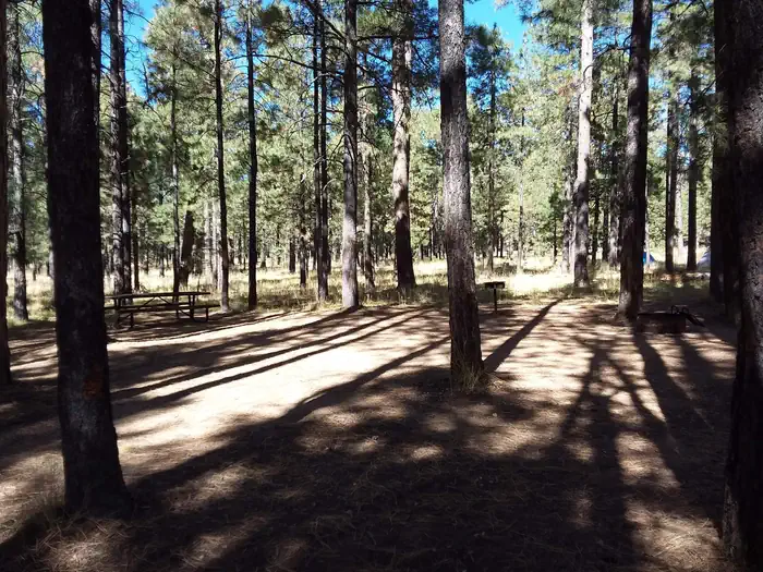 CANYON POINT Standard Campsite