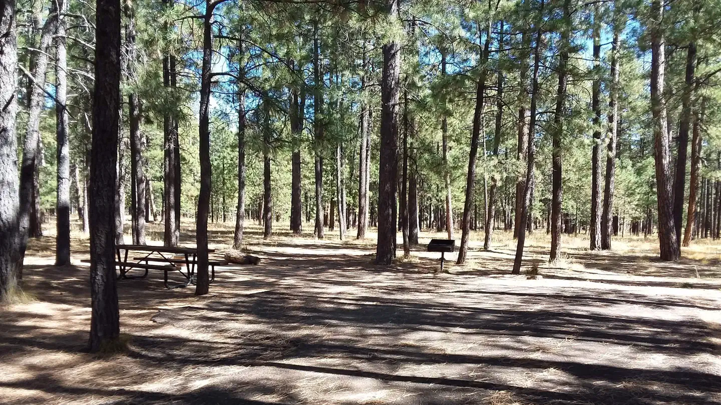 CANYON POINT
