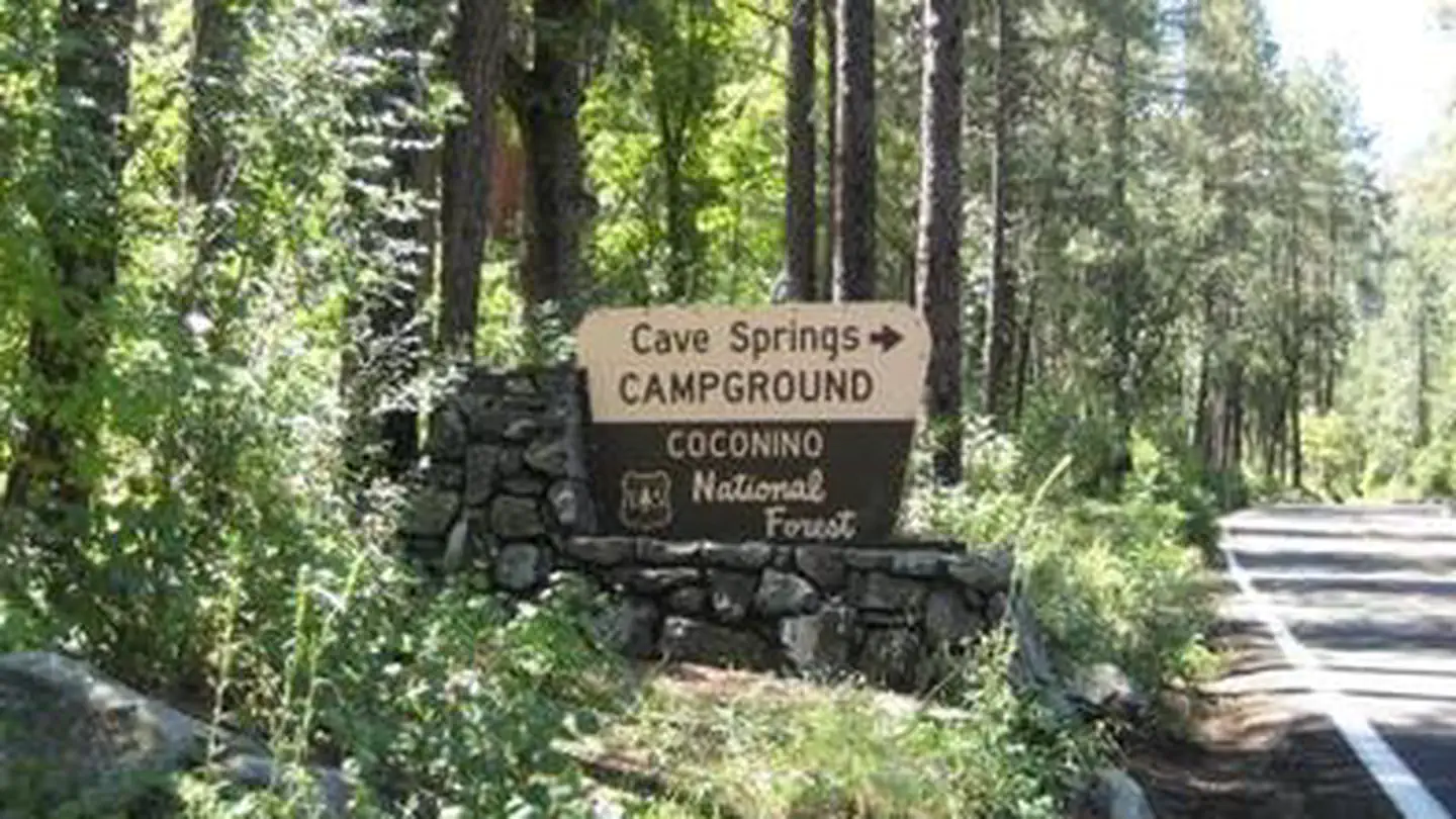 CAVE SPRING